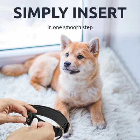 Olixar Genuine Leather Apple AirTags Dog Collar - Large - Black - Image 2